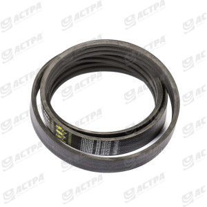 POWER BAND BELT