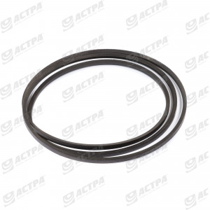 Wedge belt 670796.0