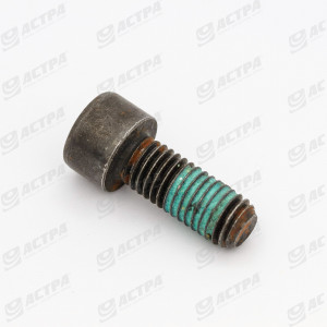 Болт M10x25 DIN912  12,9  040731  233966.1