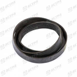 Belt 5HB BP 4860 Gates 070952.2