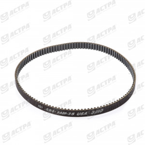 COGGED BELT