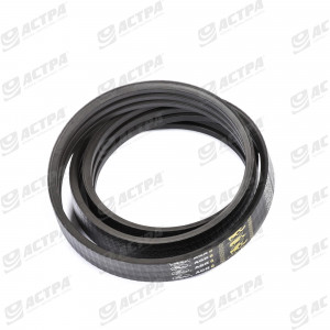 POWER BAND BELT
