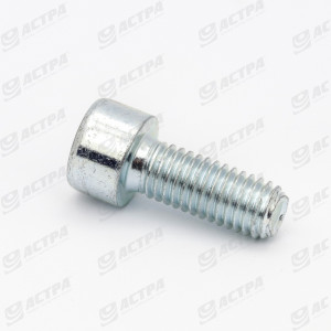 SCREW