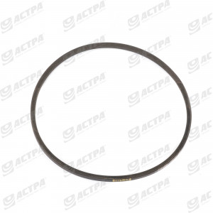 Пас HB 1295 GATES 0101099 767057.1