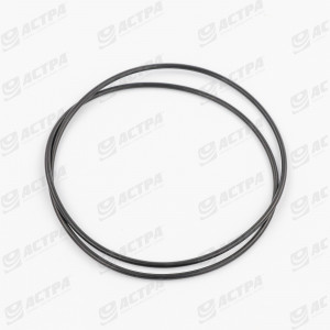 O-RING