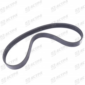 POWER BAND BELT ALPHABELTS