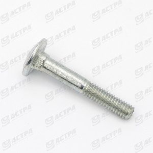 Болт M6x40 DIN603 8.8 235343.1  