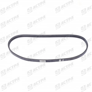 POWER BAND BELT ALPHABELTS