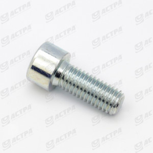 Болт M10x25 DIN912 8.8 233966.1