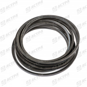 Пас HB 6650 ALPHABELTS 628991.0  