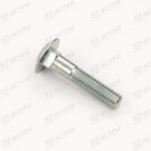Screw