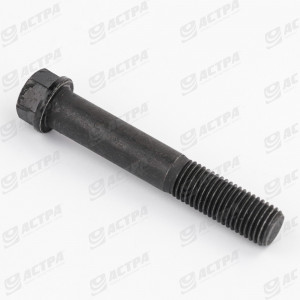 Болт (без упаковки) DANA M16x98 2 10.9