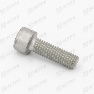 Болт M8x25 ORIGINAL 233540.0