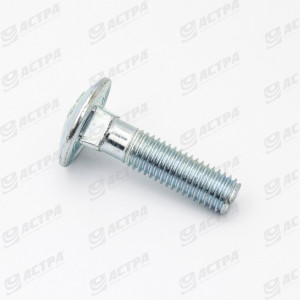 Bolt M10x40 DIN603 8.8 03M7194, KG00641761 505759.0