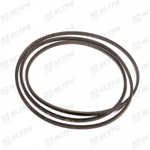 Пас HC 5450 TAGEX 603430 603430.1