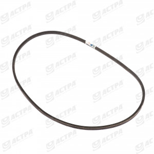 Пас 13х1430 AGRO Belts H101813 545668.1 