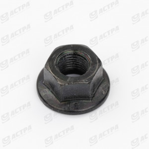 WHEEL NUT