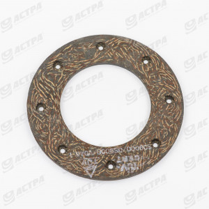 FRICTION PLATE