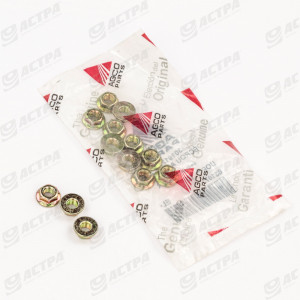 HEX FLANGE NUT
