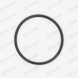 SEAL RING