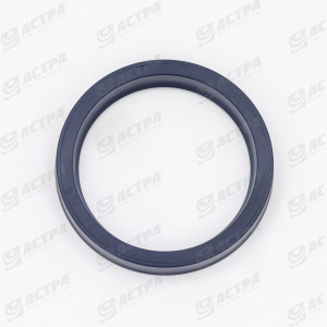 LIP SEAL