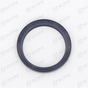 LIP SEAL