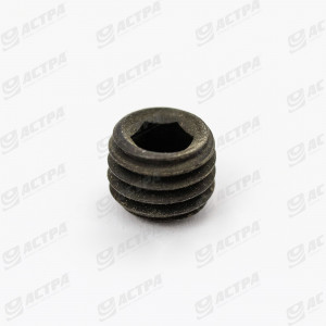 Болт стопорний M10x8 DIN916 ORIGINAL 0005003092 236552.0