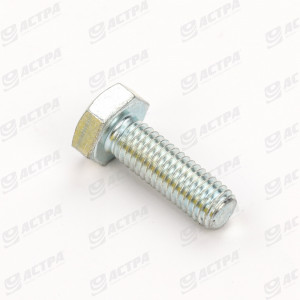 Screw SKS 10 x  30  DIN 933  8.8     gv.