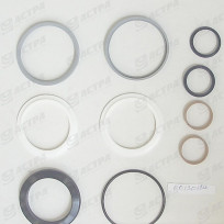 Seal kit  100-45  Rephasing BURNSIDE