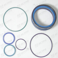 Seal kit 120-50 WEBER
