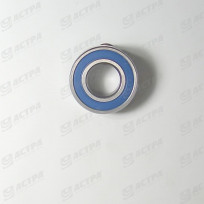 Bearing SS 6004 2RS
