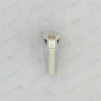 Screw SKS 16 x 60 DIN 931 8.8 gv.