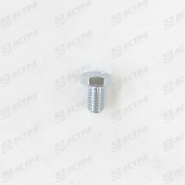 Screw SKS 12 x 20 DIN 933 8.8 gv.