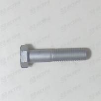 SKS 12 x 55 DIN 931 10.9 GEOM 321 A