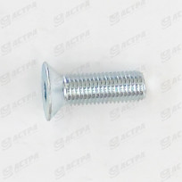Screw M 16x50 8.8 galv.