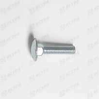 Cup square screw 12 x 50 galv. 8.8