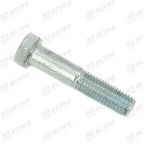 BOLT H M12x60 8.8 Z