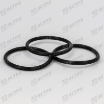 O RING