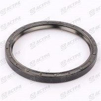 Сальник гумометалевий DGS95x110x10/10.5 R01  (X550162800000)