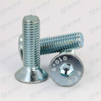 FLAT HEAD HEX SCREW