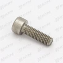 SCREW M5X16 ST.STEEL...MINI 10