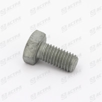 SKS 8 x 16 DIN 933 10.9 GEOM321A