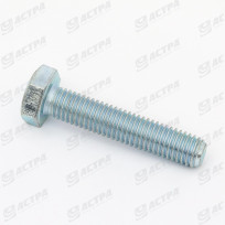 Point bolt M10 x 30