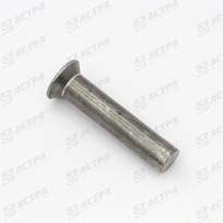 Rivet
