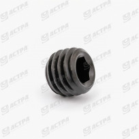 Болт стопорний M10x8 DIN916 0005003092 236552.0