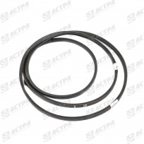 BELT ALPHABELTS