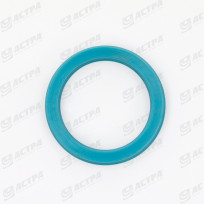 LIP SEAL