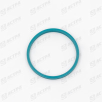 DUALSEAL-RING