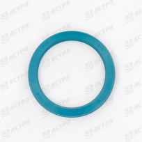 LIP SEAL