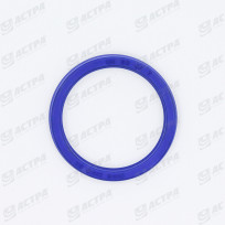 LIP SEAL